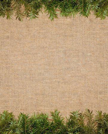 Christmas framework with evergreen fir tree with copy space for textの写真素材