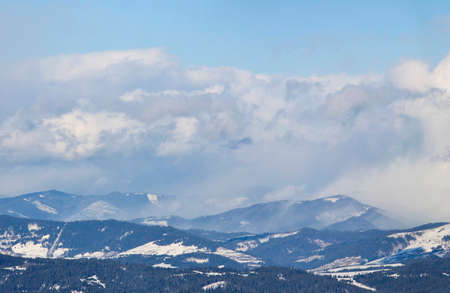 Beautiful Christmas nature background with snowy fir trees and blue mountains in winter.の写真素材
