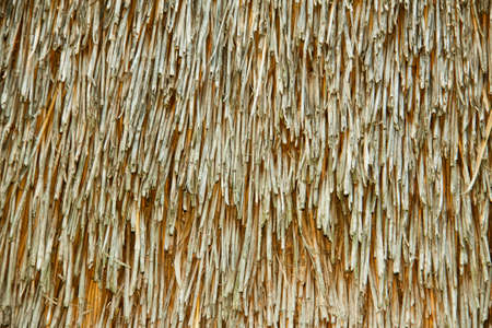 Dry straw bundle as texture or backgroundの写真素材