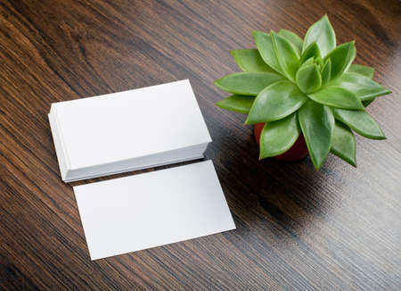 Mockup of white business cards with plant at wooden background. Template for branding identityの写真素材