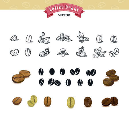 Set of vector coffee beans on white backgroundのイラスト素材