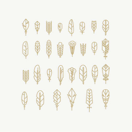 Graphical line feathers set. Design elements or linear signsのイラスト素材