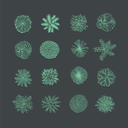 Trees top view. Different plants and trees vector set for architectural or landscape design. View from aboveのイラスト素材