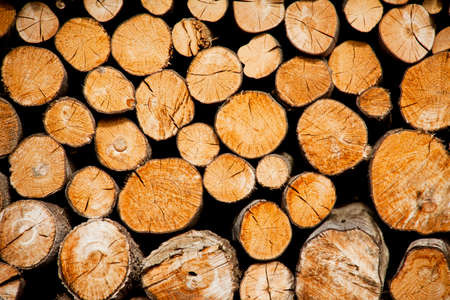 Pile of wood logs storage for industryの写真素材