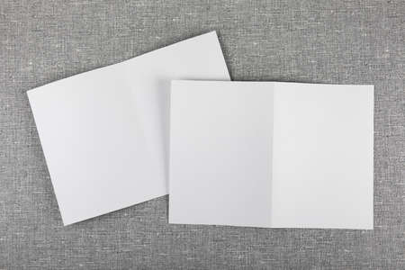 identity design, corporate templates, company style, set of booklets, blank white folding paper...