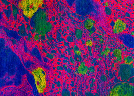 Abstract background made from paint. Close upの写真素材