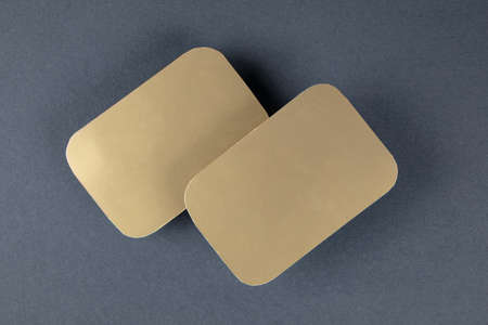Blank business cards, identity design, corporate templates, company style