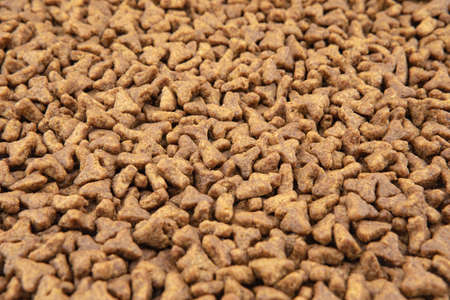 Close-up of pet dry food. Pile of cat or dog pelletsの写真素材