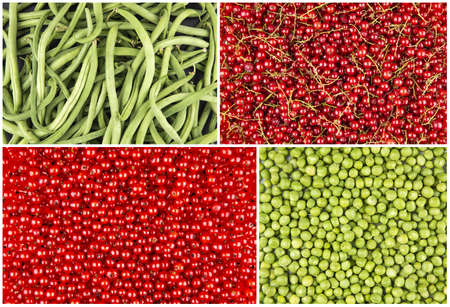 Set of food background or textureの写真素材