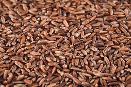 Dry raw unpolished brown rice