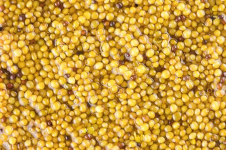 Dijon Mustard In Grains. Food background