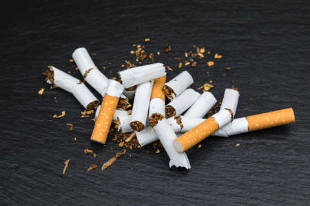 Broken cigarette on white background , World No Tobacco Day.の写真素材