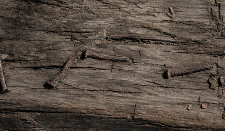 Old wooden plank background with vertical lines