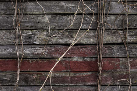 Old wooden plank background with vertical linesの写真素材