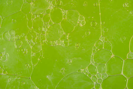 Oil bubbles on water abstract form in glass tank