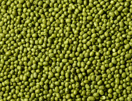 Green Mung Beans Background. Top View Photo.の写真素材