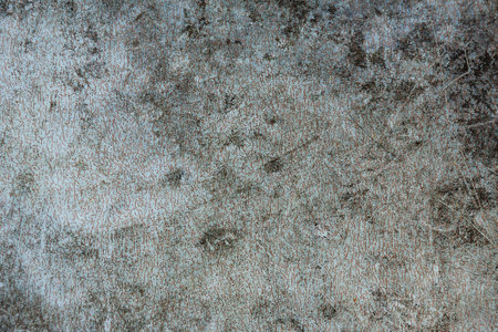Gray cement plaster wall as background or texture