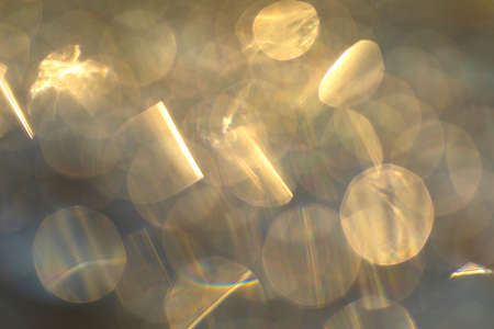 Gray abstract bokeh background from nature environment.