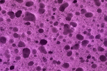 Magnified Sponge Fibers. Sponge texture. Close up.の写真素材