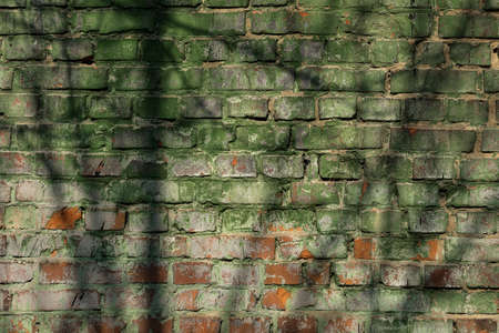 A grungy brick wall texture as backgroundの写真素材
