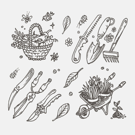 Big set of hand-drawn garden elements; gardening toolsのイラスト素材