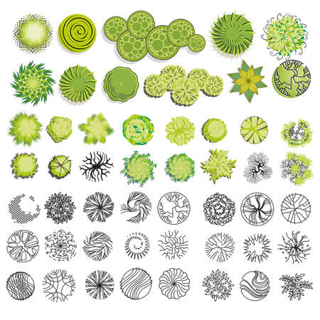 Trees and bush item top view for landscape design, vector iconのイラスト素材