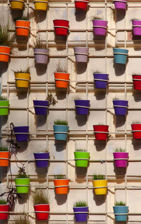 Colorful flower pots hanging over vintage wall background.