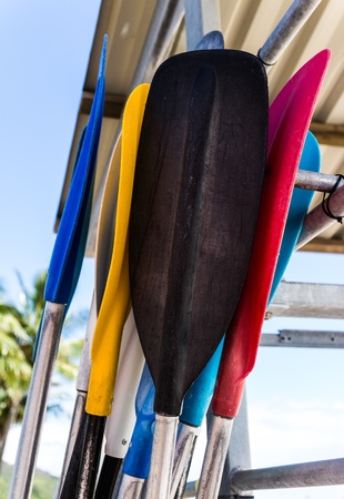 The colorful blades and aluminium handles of paddles lean together on the beach