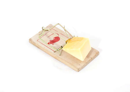 A mousetrap with cheese as bait.の写真素材