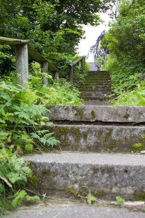 Concrete stairs with surrounded by nature