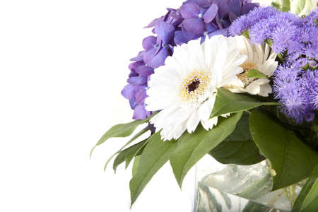 Nice purple and white flowers on a white background.の写真素材