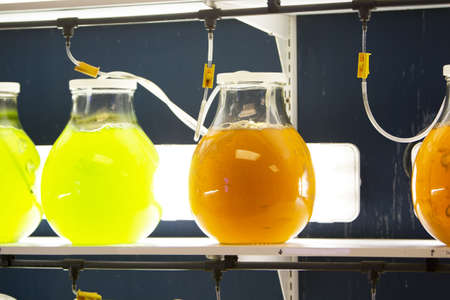 Several bottles with liquids at a laboratory