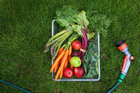 Vegetables straight from the garden. Natural ecological food.の写真素材