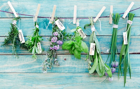 Assorted hanging Herbs on an old and vintage wooden blue background, for seasoning concept.の写真素材