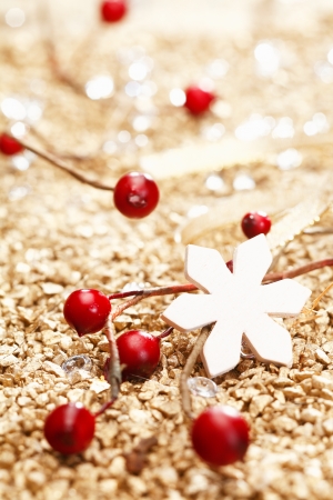 One white star and some red decoration for christmas. Whole series in my Portfolioの写真素材