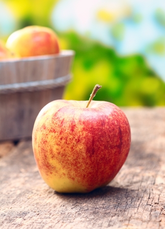 Delicious red and green apple outdoors in front of an apple tree meadow. On an aged old wooden background. For organic food conceptsの写真素材