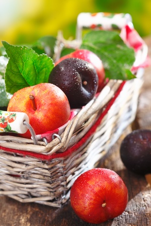 Freshly picked ripe damson and red plums in a rustic wicker basket outdoors on an old wooden tabletopの写真素材