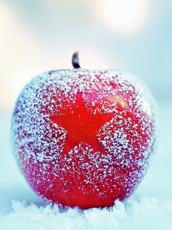 Frosted colourful ripe red Christmas apple on fresh winter snow with a decorative star pattern in the frostingの写真素材