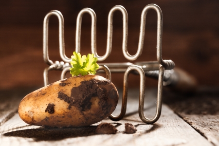 Closeup of a freshly harvested earthy farm potato and an old retro potato masher on a boardの写真素材