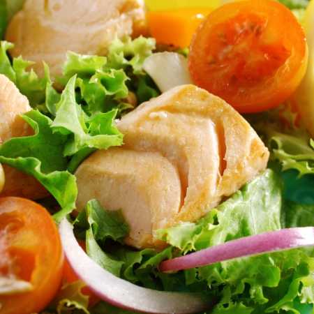 Macro of a tasty and healthy Mediterranean salad with chicken, lettuce, cherry-tomatoes and onionsの写真素材