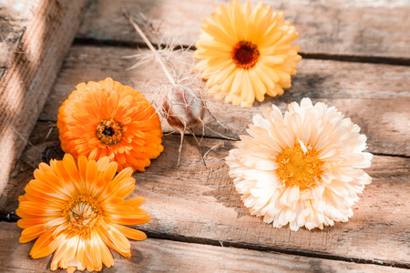 Fresh colourful orange gerbera daisies in a wooden crate for a seasonal summer backgroundの写真素材