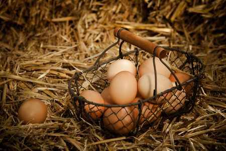 Horizontal close-up of fresh brown chicken eggs in a metallic basket with wooden handle on strawの写真素材