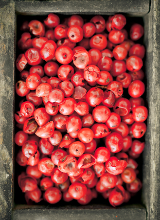 Colourful whole dried pink peppercorns with their red colouring used as a pungent spice and condiment in cooking, overhead viewの写真素材