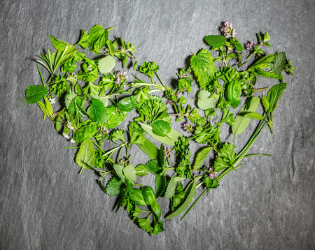 Heart shape formed of mixed fresh green culinary herbs arranged on a slate background symbolic of love, romance or love of cookingの写真素材