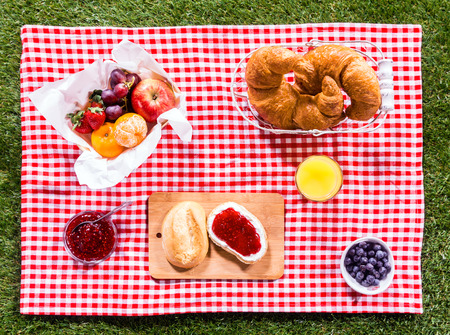 Healthy summer picnic laid out on a fresh red and white checked country cloth on green grass with croissants, jam, fresh fruit, butter and blueberries, overhead viewの写真素材