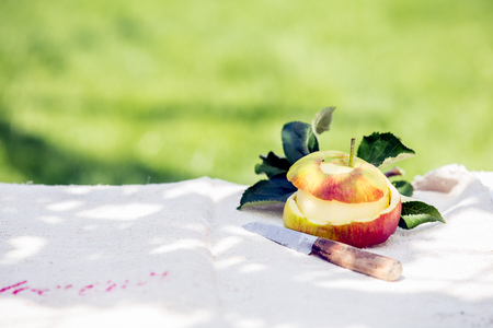 Healthy home grown peeled apple with its skin and a sharp paring knife on a garden table in dappled summer sunshine with copyspace against a green lawnの写真素材