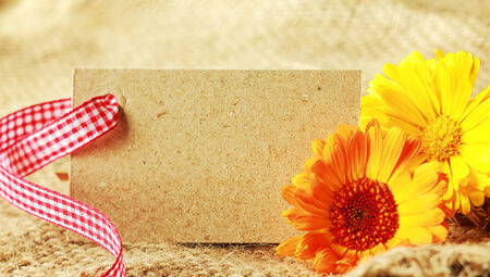 Beautiful floral gift tag background with an empty natural brown label tied with rustic red and white checked ribbon with two colorful yellow sunflowers on hessian fabricの写真素材