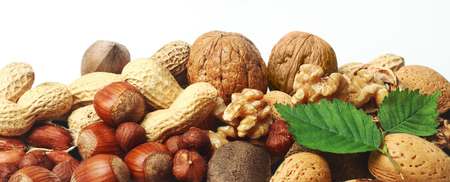 Assorted fresh nuts horizontal banner with whole almonds, hazelnuts, brazil nuts, peanuts and...