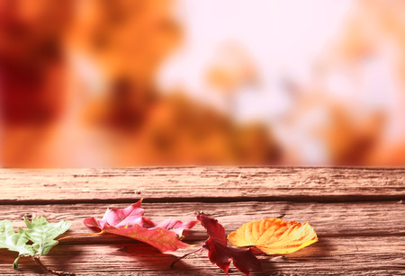 Three faded colorful autumn or fall leaves lying on a rustic wooden garden table against a blurred...