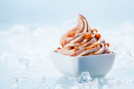 Delicious Healthy Low Fat Frozen Yogurt Twirl in Small White Bowl on White .の写真素材